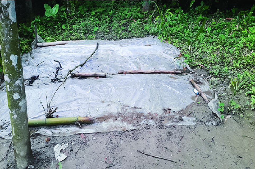 Image of মো: ছাব্বির ইসলাম সাকিব